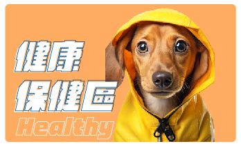 萌寵主題展區