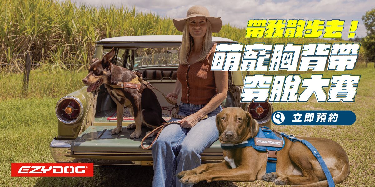 萌寵胸背帶穿脫大賽