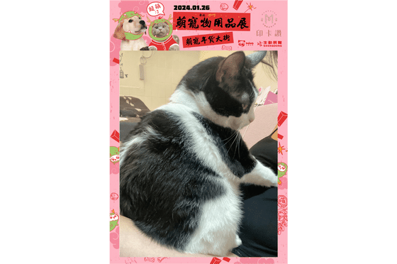 #各式活動的超強幫手
